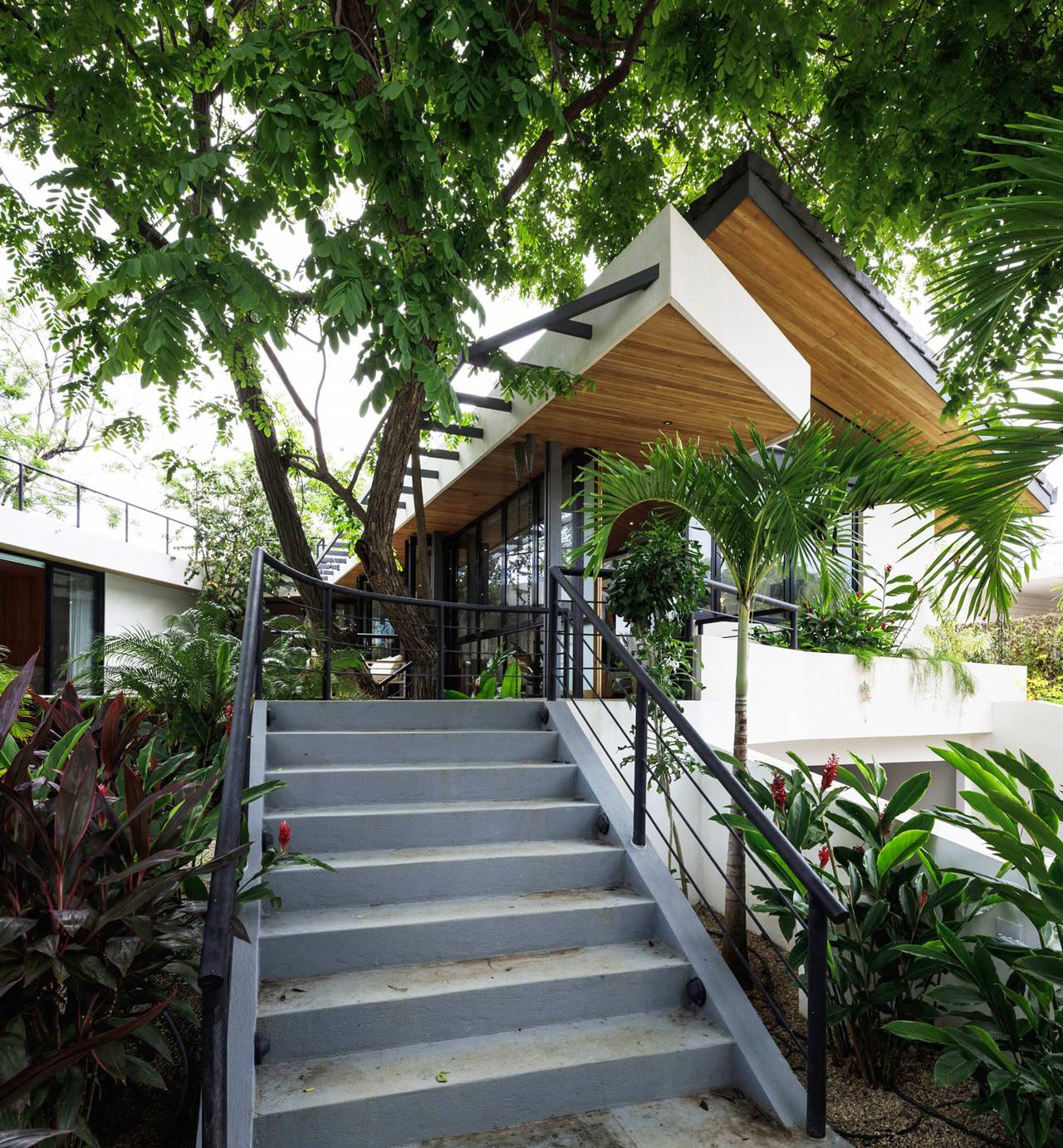 CASA ABEJAS 003
