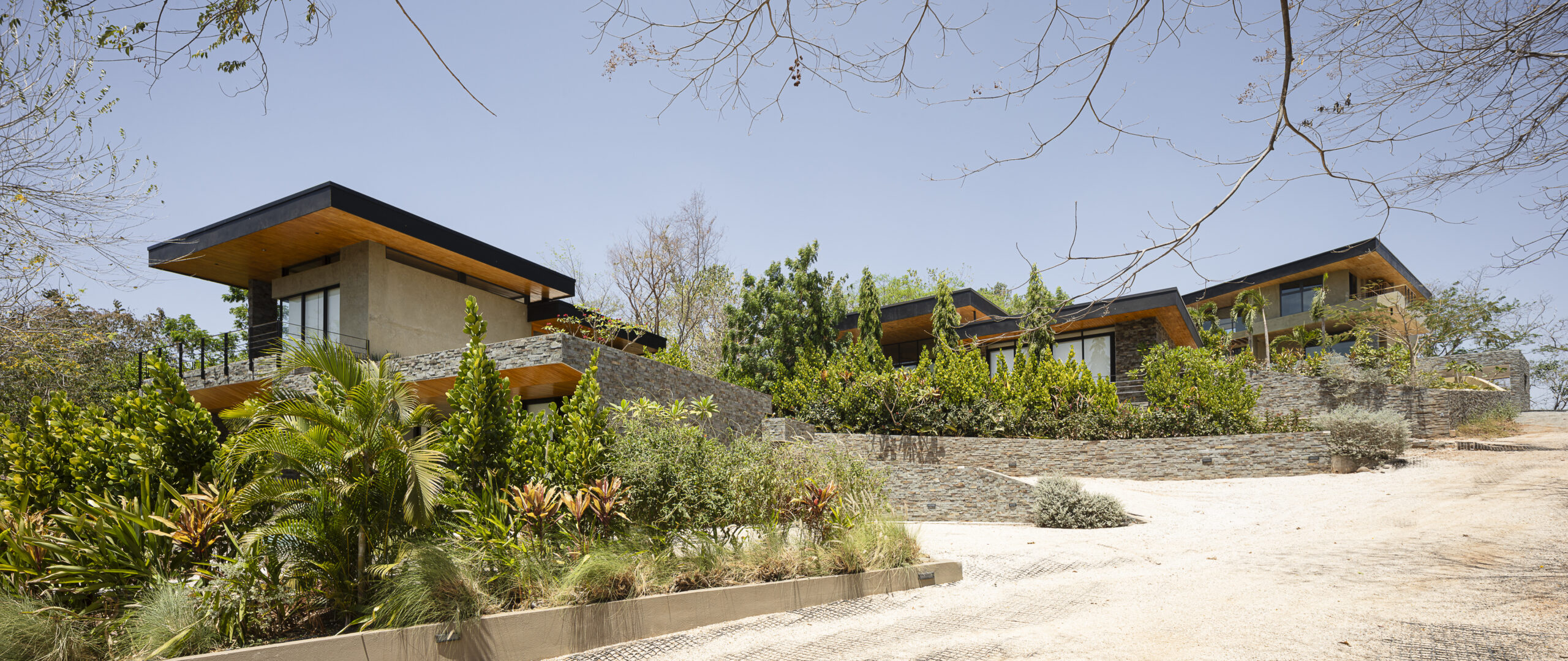 1Dos Monitos_03_PORTADA