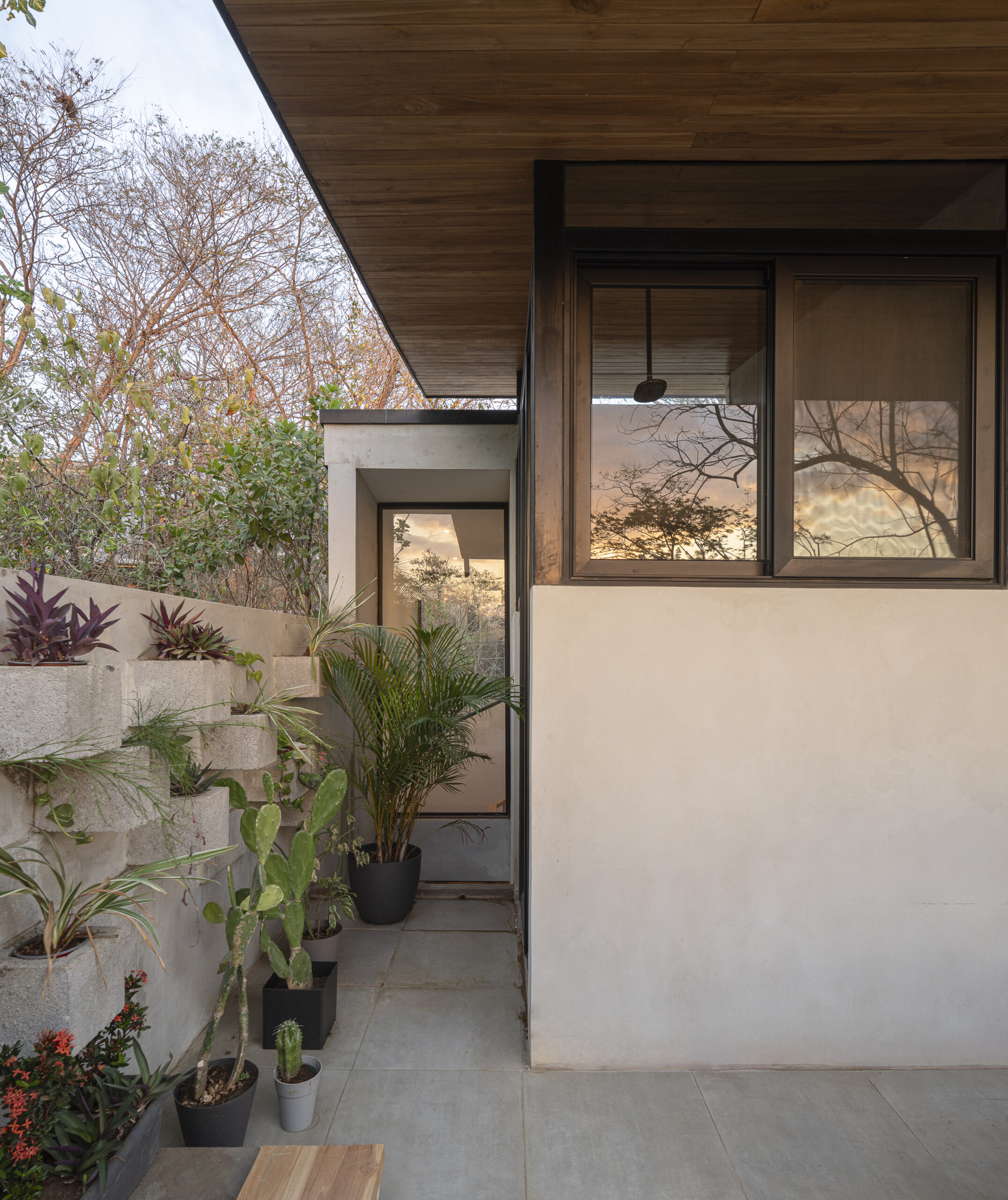 House by the Tree_11