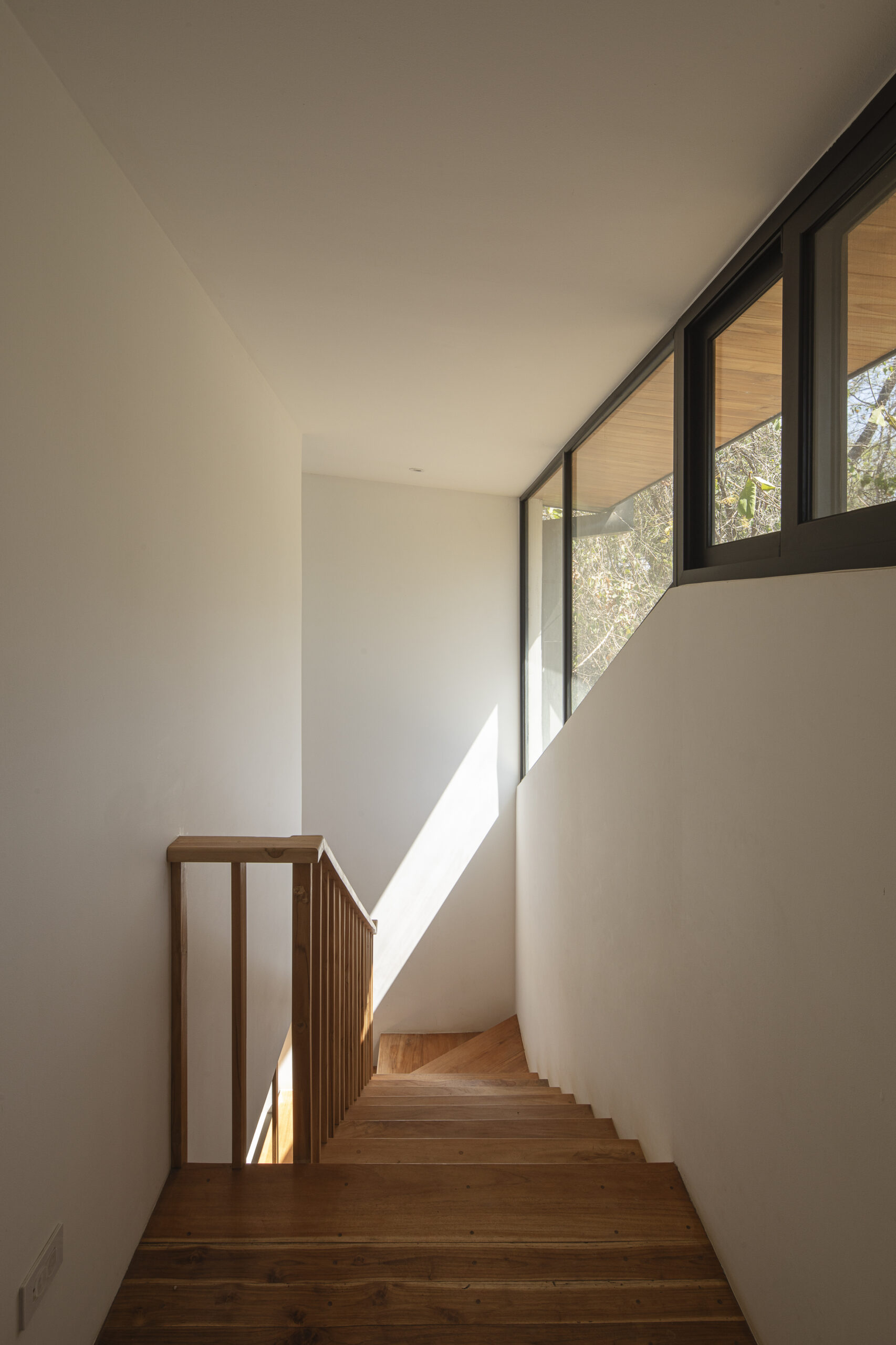 House by the Tree_24