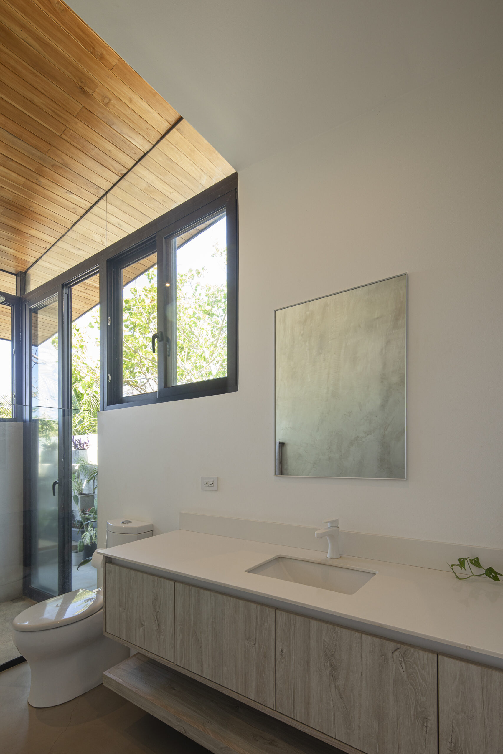 House by the Tree_27